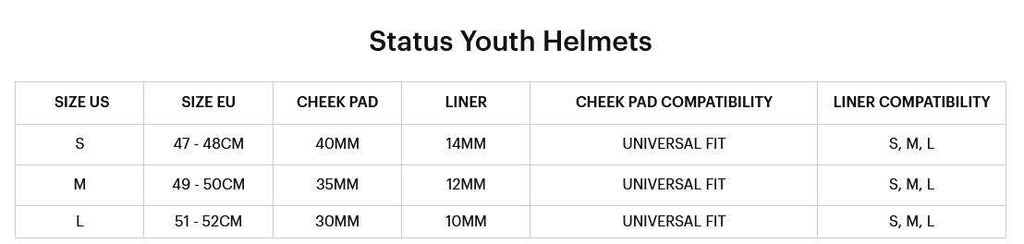 100% Status Helmet Carby Charcoal L C9811