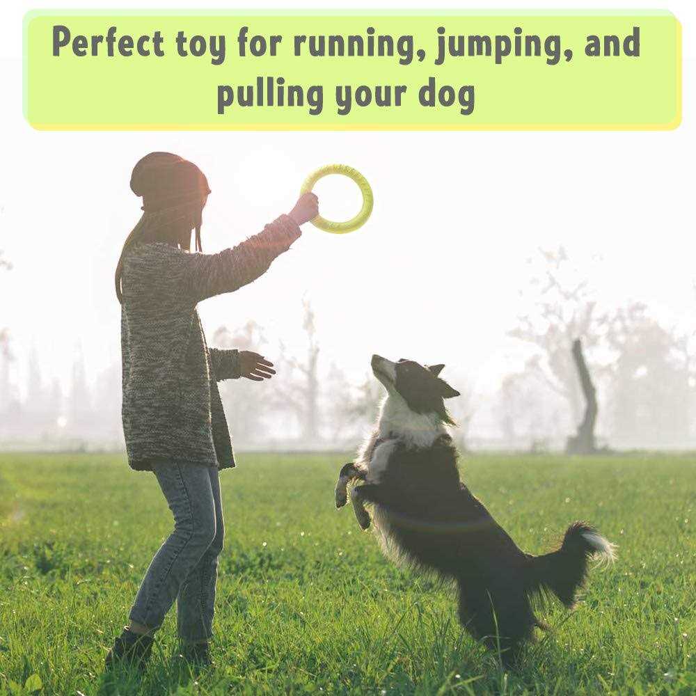 Dog Training Ring and Flying Disc Interactive Toy B992
