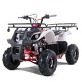 125cc Gas All-Terrain Vehicle (ATV) Q6434
