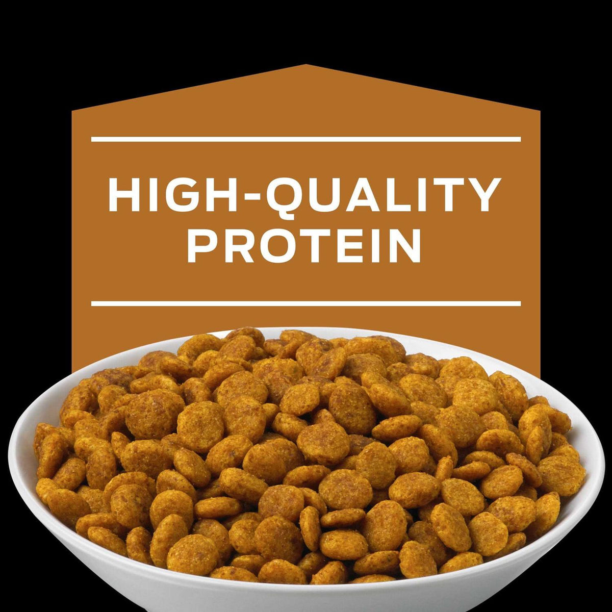 Adult Dry Cat Food L893