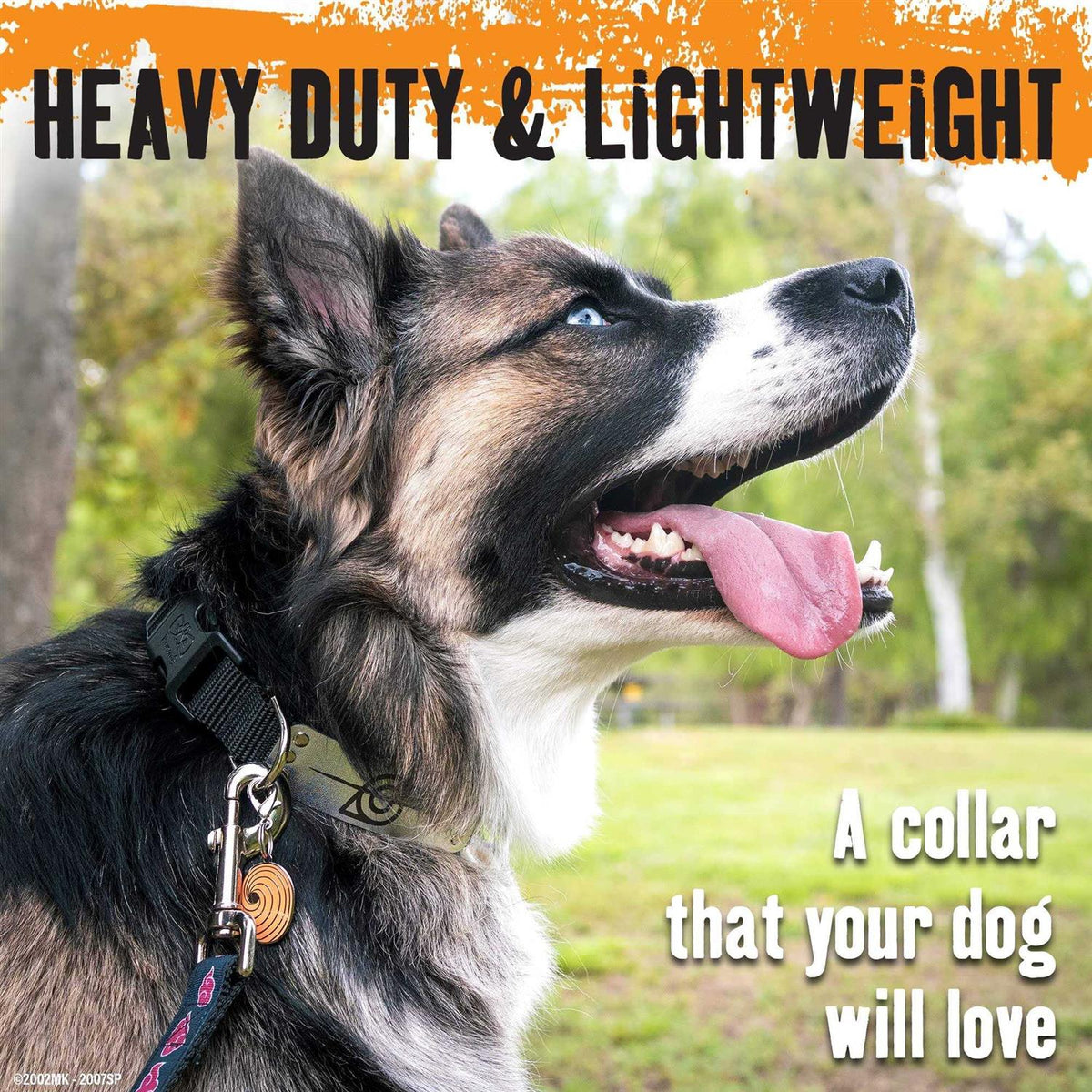 Dog Collar for Large Dogs Medium Xs/Small Puppy Collars H94375