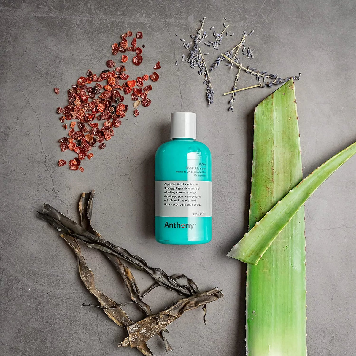 Day Cream SPF 30 and Algae Facial Cleanser E556