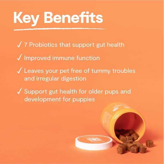 Probiotic Chews Dog Supplement V85674