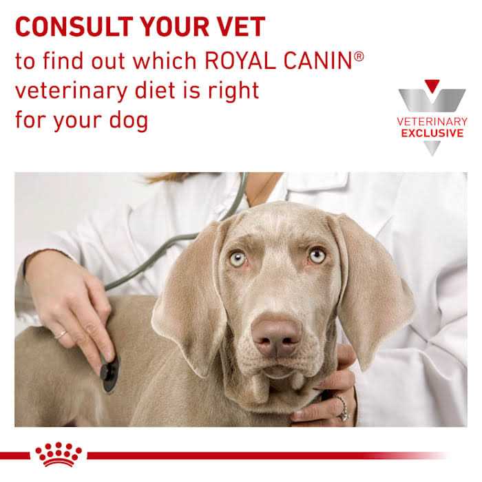 13.7 oz Veterinary Diet Canine Hydrolyzed Protein Adult Dog Loaf in Sauce Food F210
