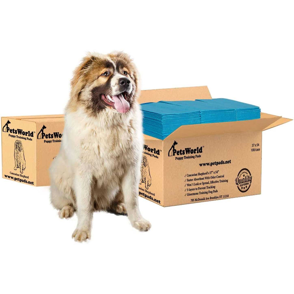 XXL Tear Resistant Pet Potty Pads K963