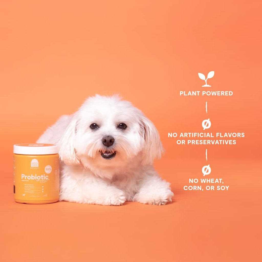 Probiotic Chews Dog Supplement V85674