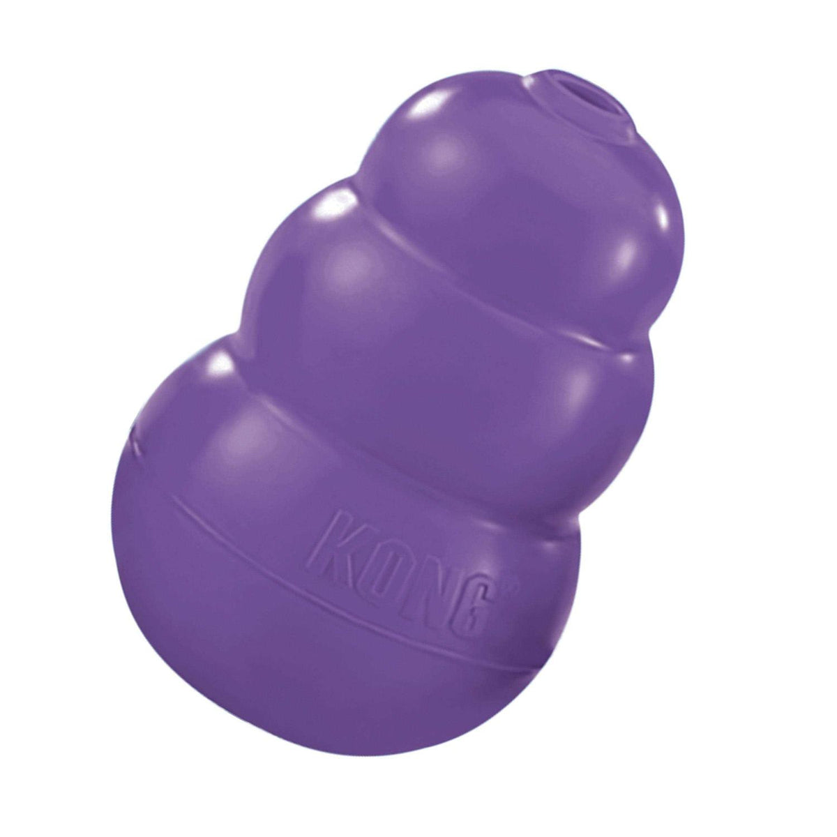 Senior Dog Toy C5171