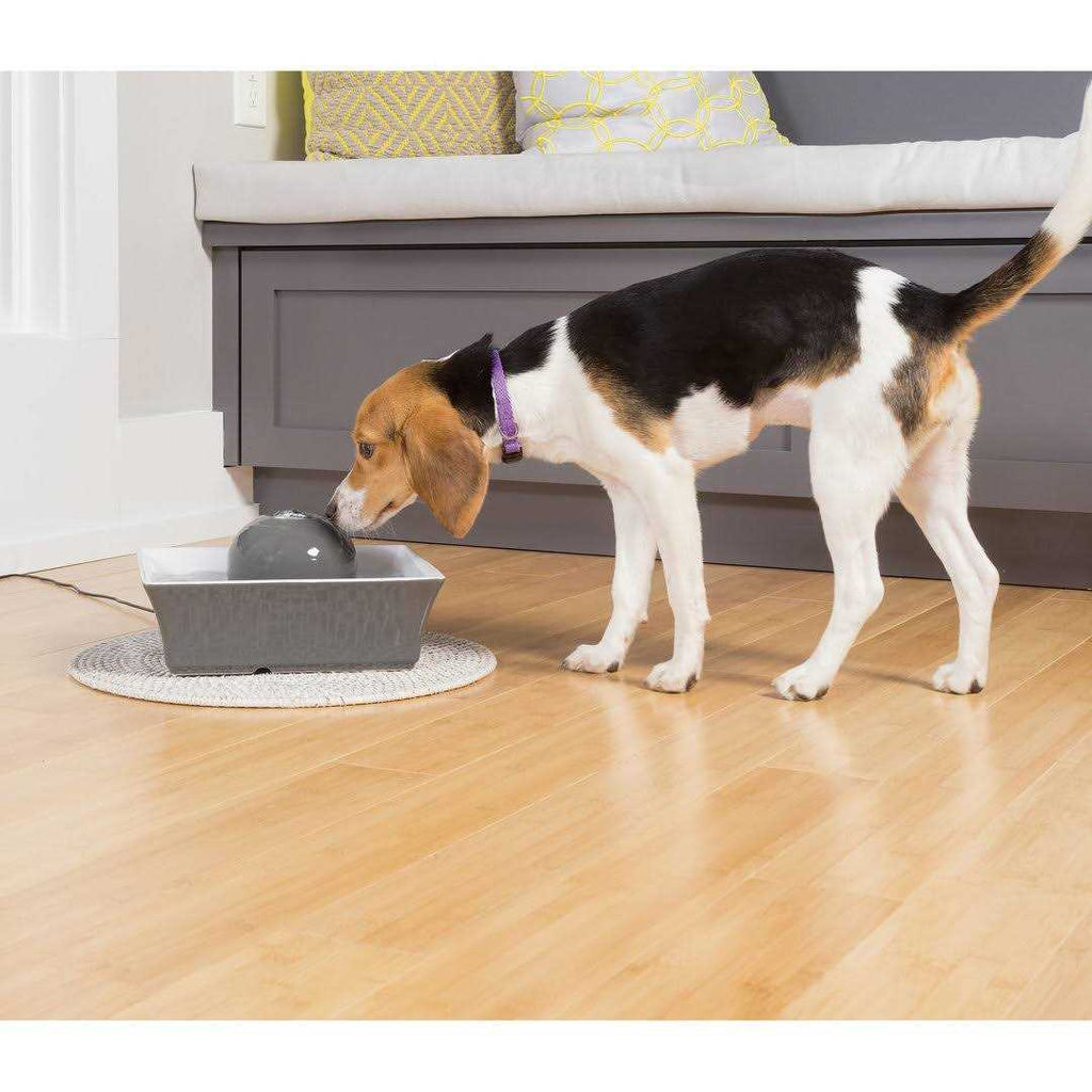 Pet Fountain K102