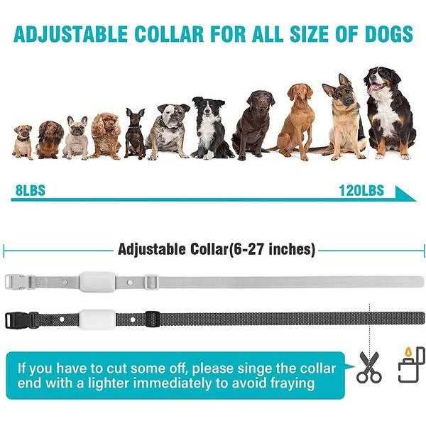 Remote Dog Training Collar D751866