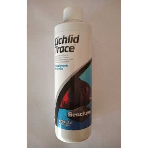 Cichlid Trace K12240