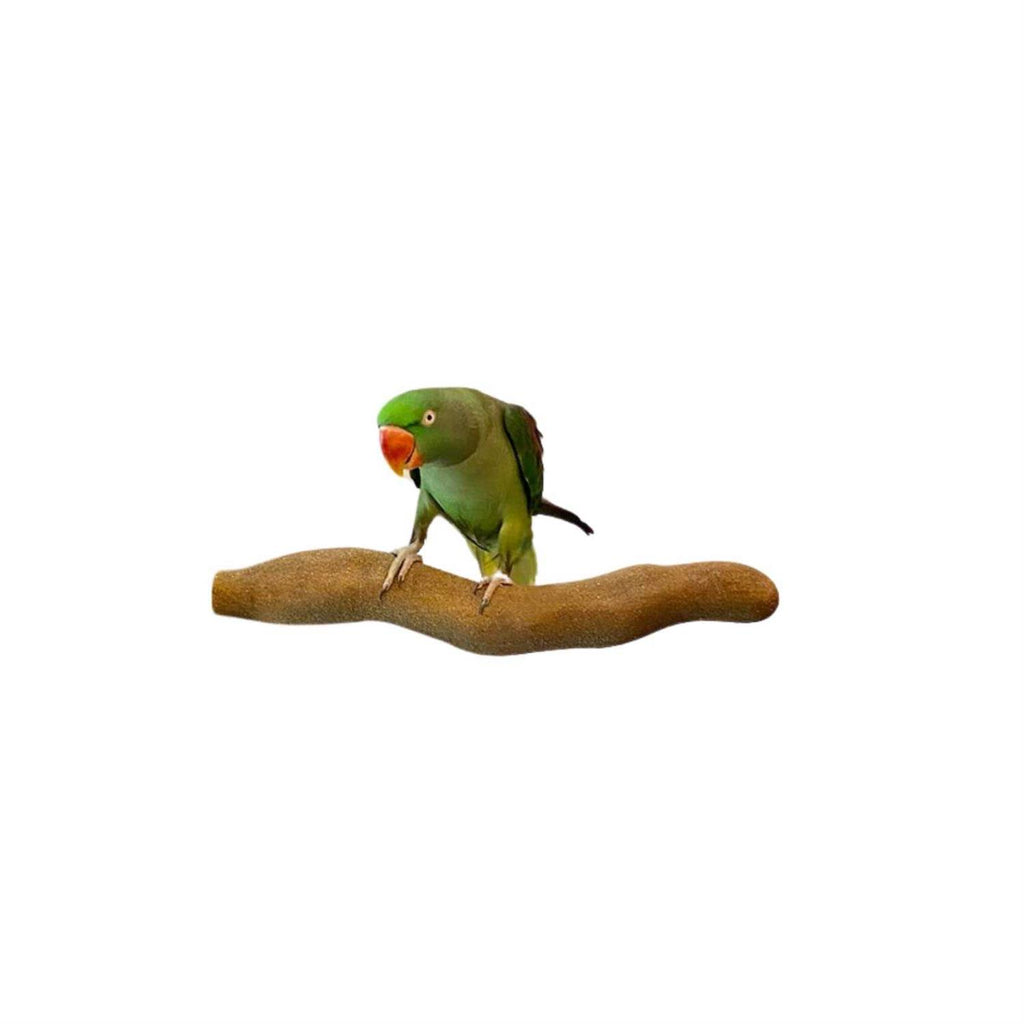 Orthopedic Pet Supplies C383