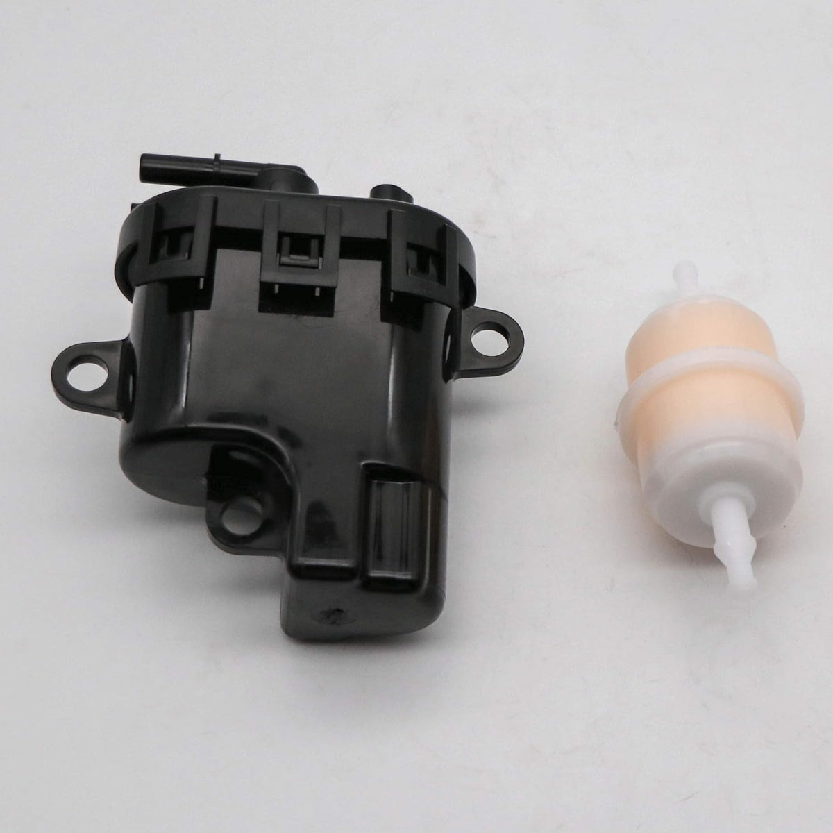 Fuel Pump with Fuel Filter S6029
