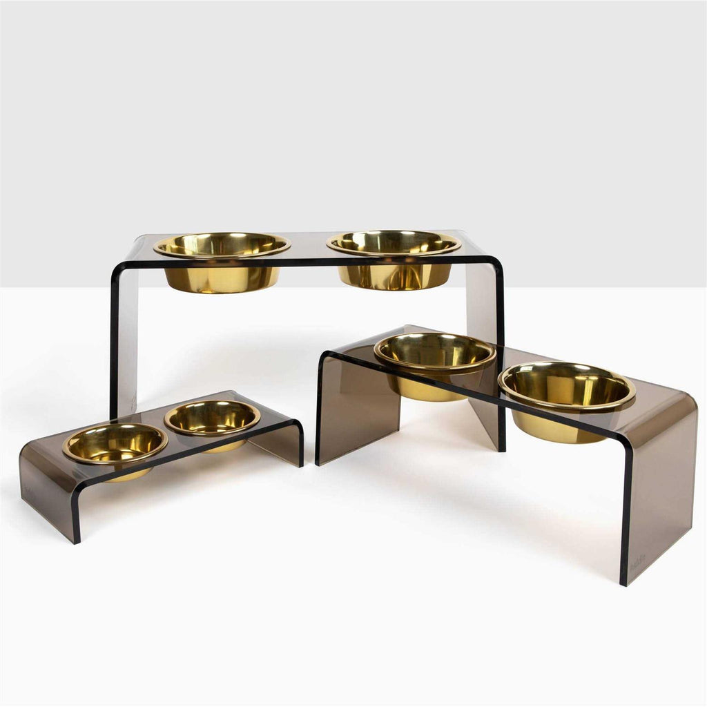 Acrylic Double Bowl Elevated Pet Feeder N758