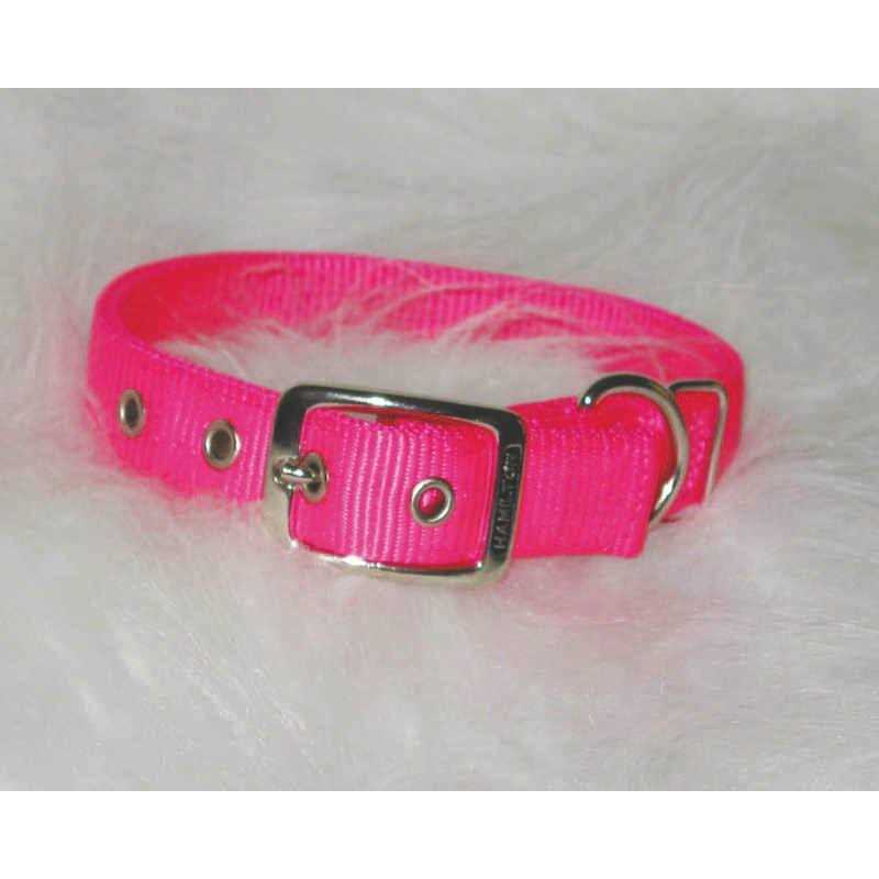 Nylon Dog Collar P52767