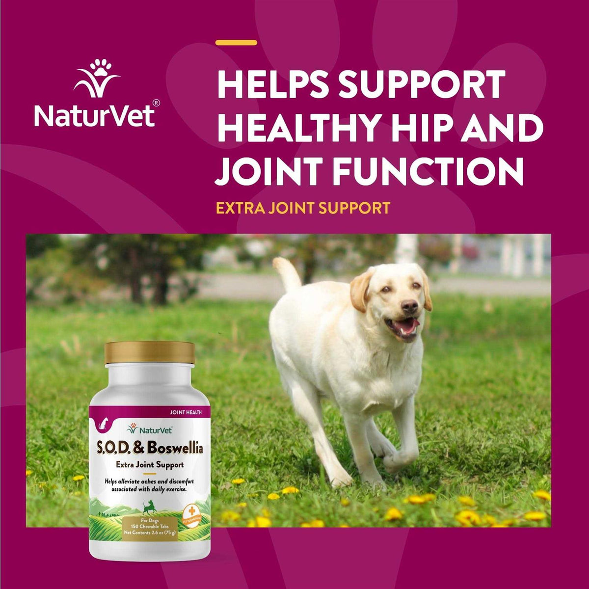 Boswellia Tablets for Dogs S623