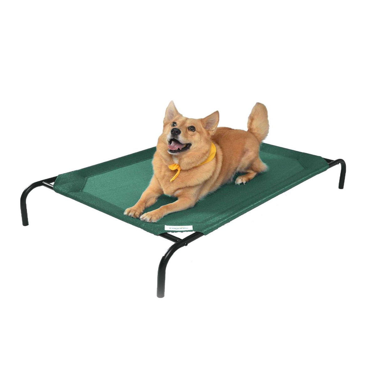 Elevated Pet Bed V31424
