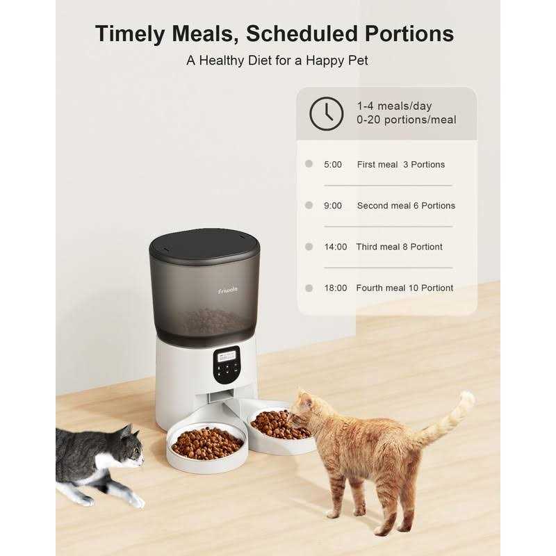 6L Automatic Cat Feeder with Double Bowls O256