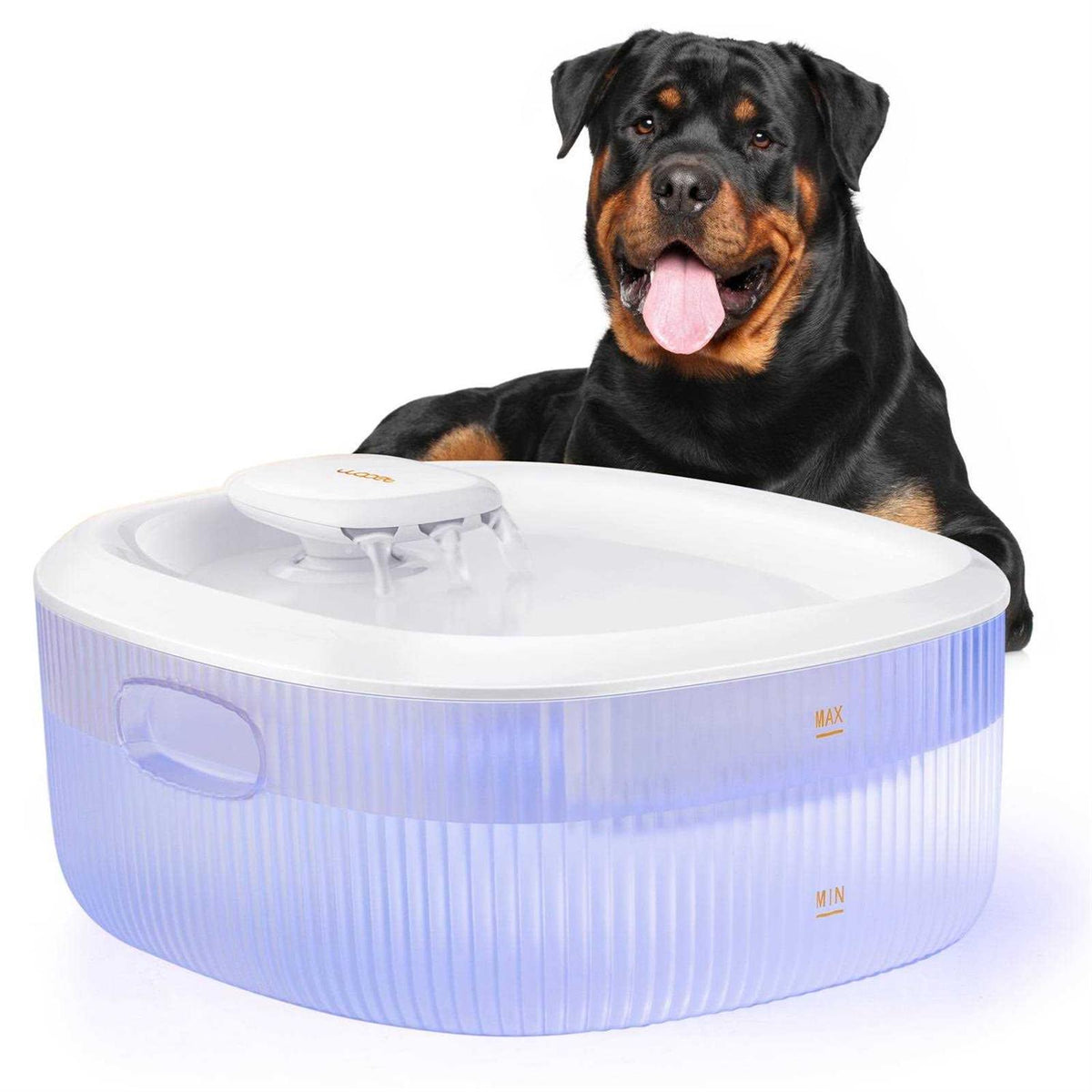 Dog Water Fountain S414148