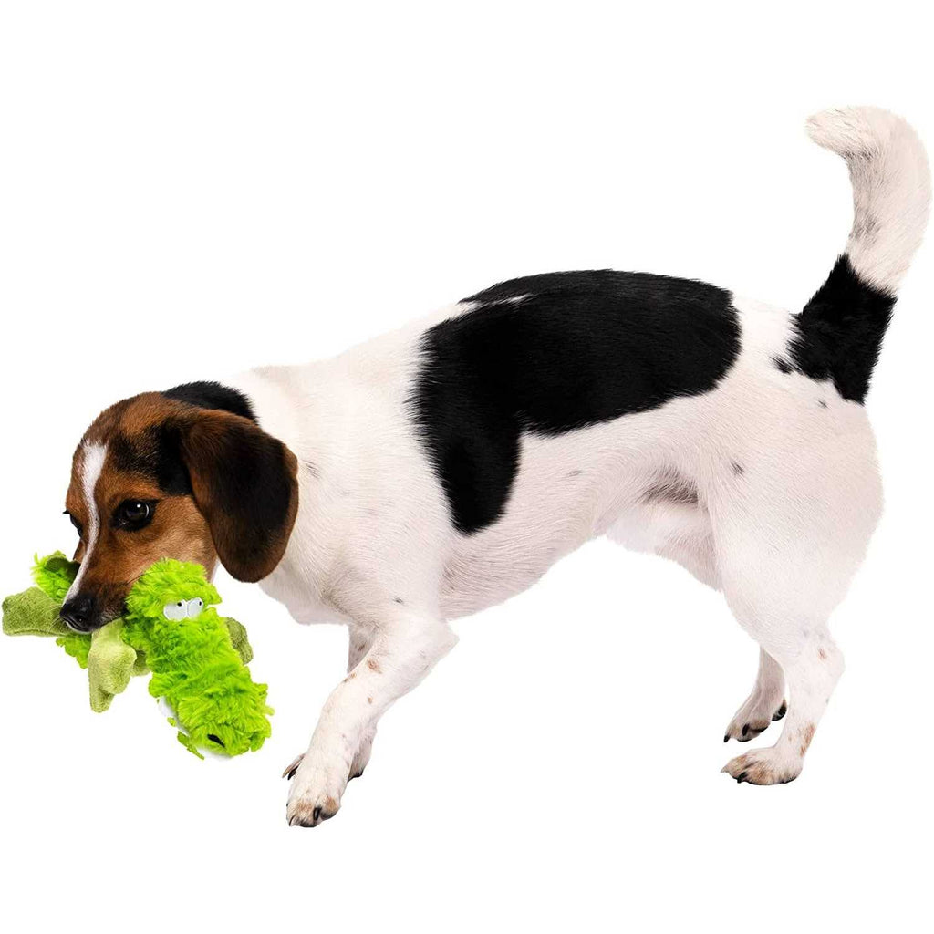 Dog Toy B59705