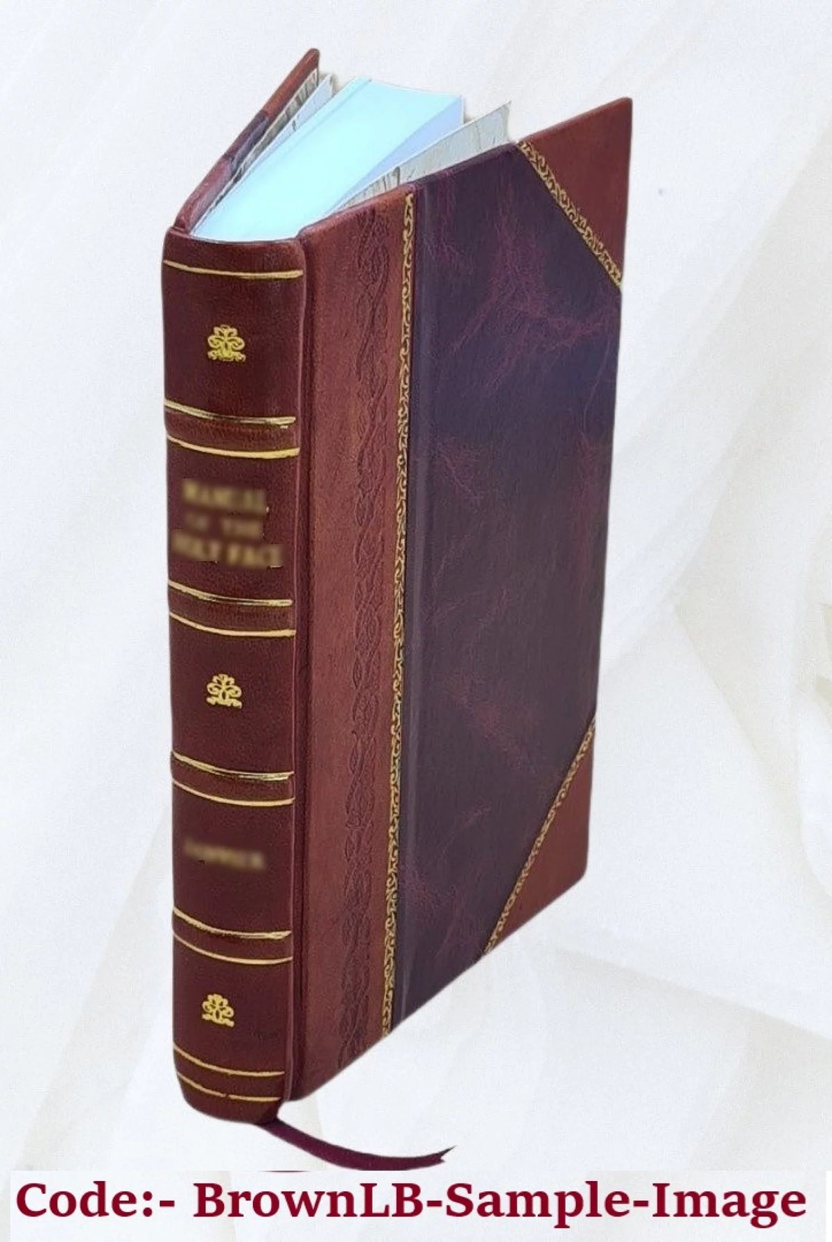 Natural History of Animals Leather Bound Y119