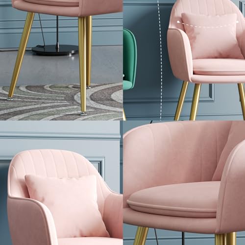 Leather Dining Chair with Backrest G5199