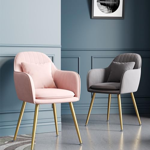 Leather Dining Chair with Backrest G5199