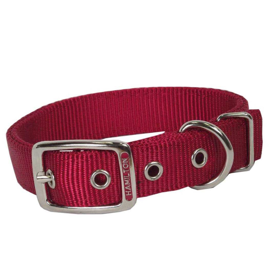 Nylon Dog Collar P52767