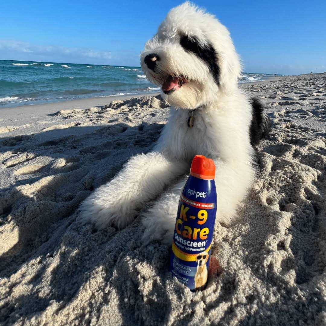 Epi-Pet Sun Protector Sunscreen E6703
