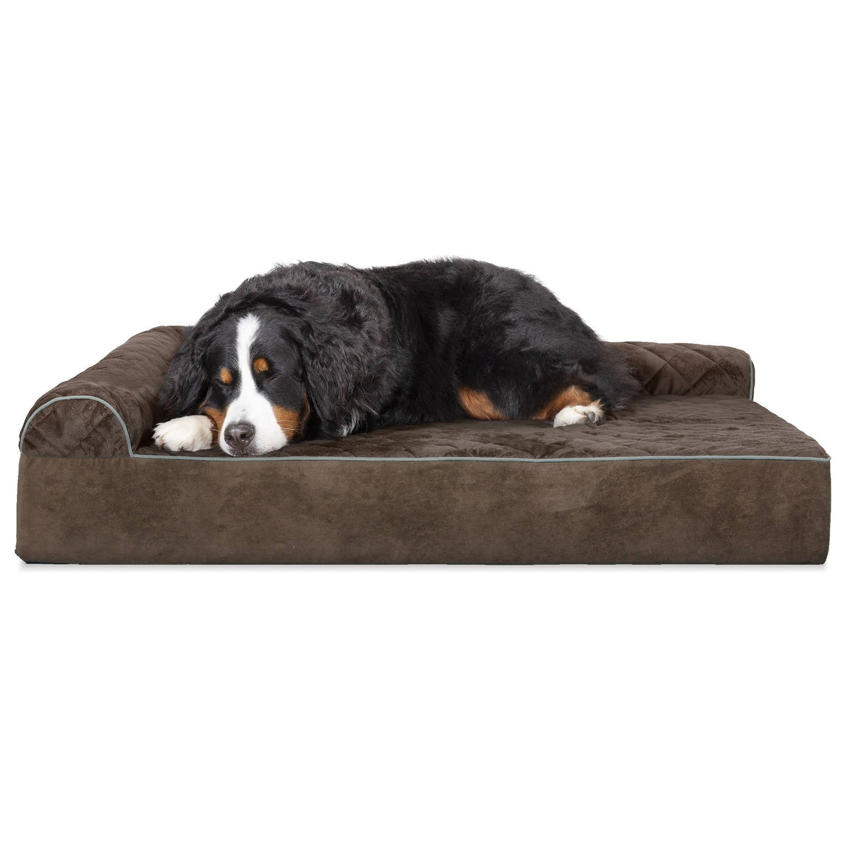 Espresso Velvet L-Chaise Dog Bed F618982