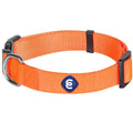 Classic Dog Collar M736194