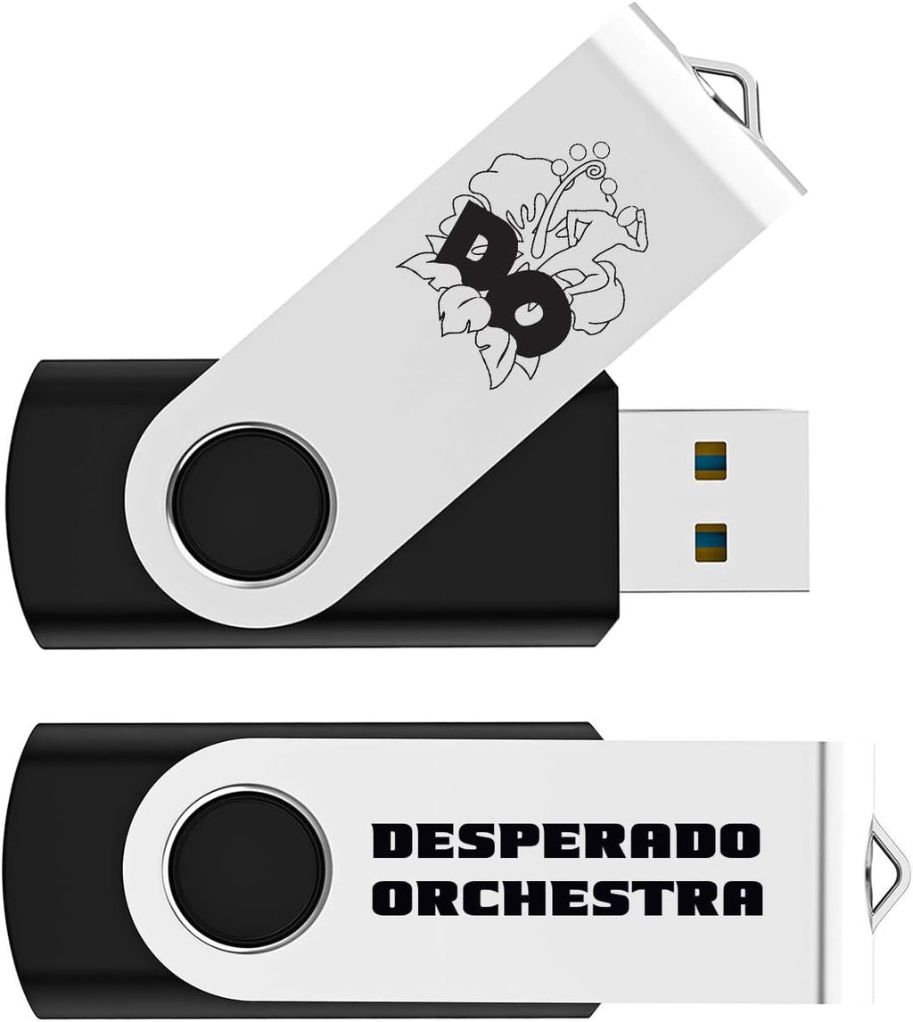 Black Pack of 2 Swivel USB Flash Drives Z433