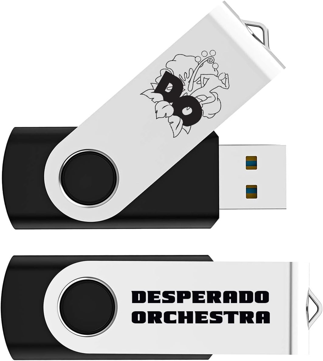 Black Pack of 2 Swivel USB Flash Drives Z433