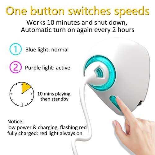 Automatic Hanging Cat String Toy I361