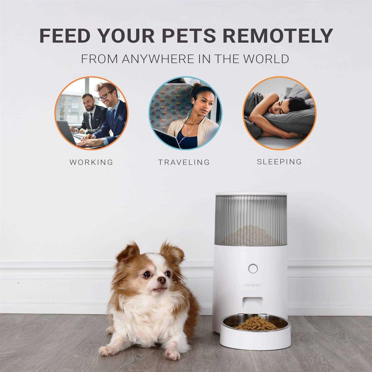 Automatic Pet Feeder X7716