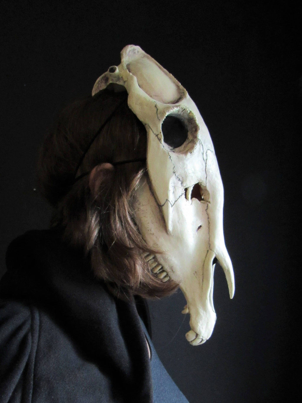 Horse Skull Mask Animal Cosplay Accessories E854