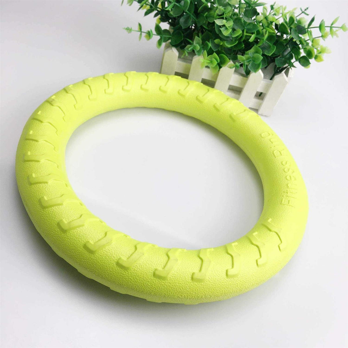 Dog Training Ring and Flying Disc Interactive Toy B992