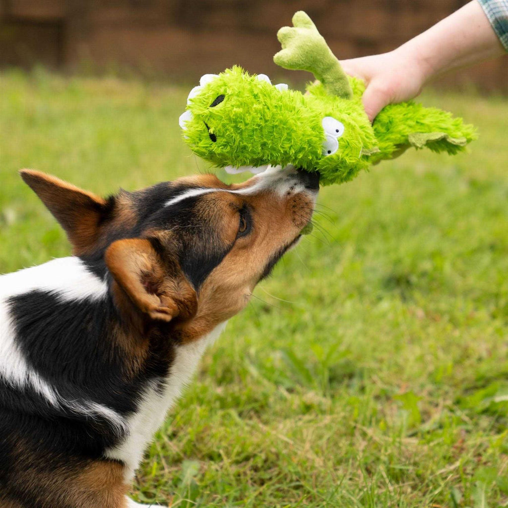 Dog Toy B59705