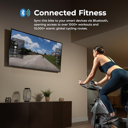 Indoor Cycling Exercise Bike with Adjustable Cushion Seat & Multi-Grip Handlebar J11158