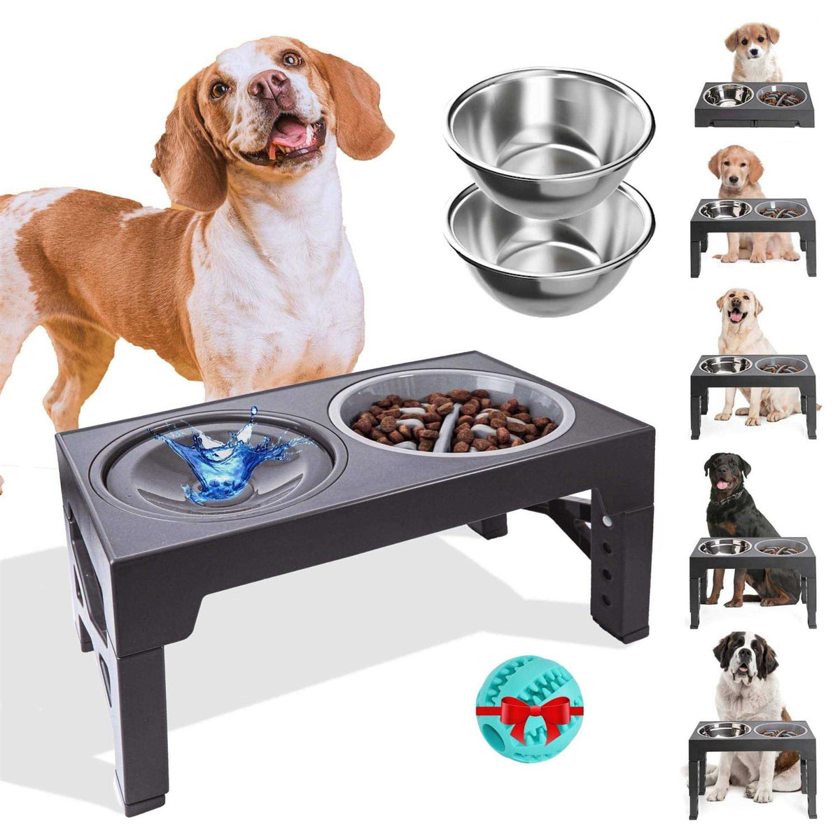 Elevated Slow Feeder Dog Bowls Set with 2 Stainless Steel & 1 No Spill Bowl C466