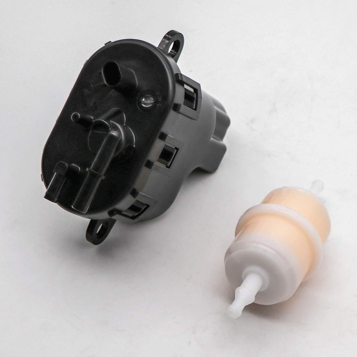 Fuel Pump with Fuel Filter S6029