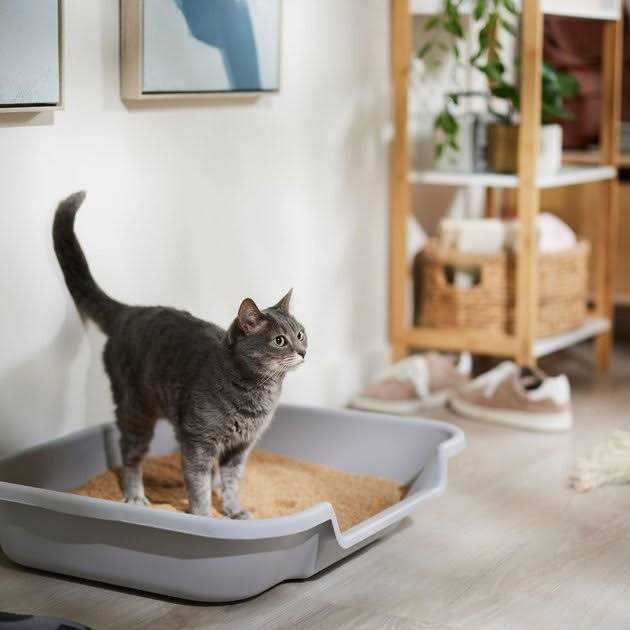 Catalyst Cat Litter Soft Wood F400349