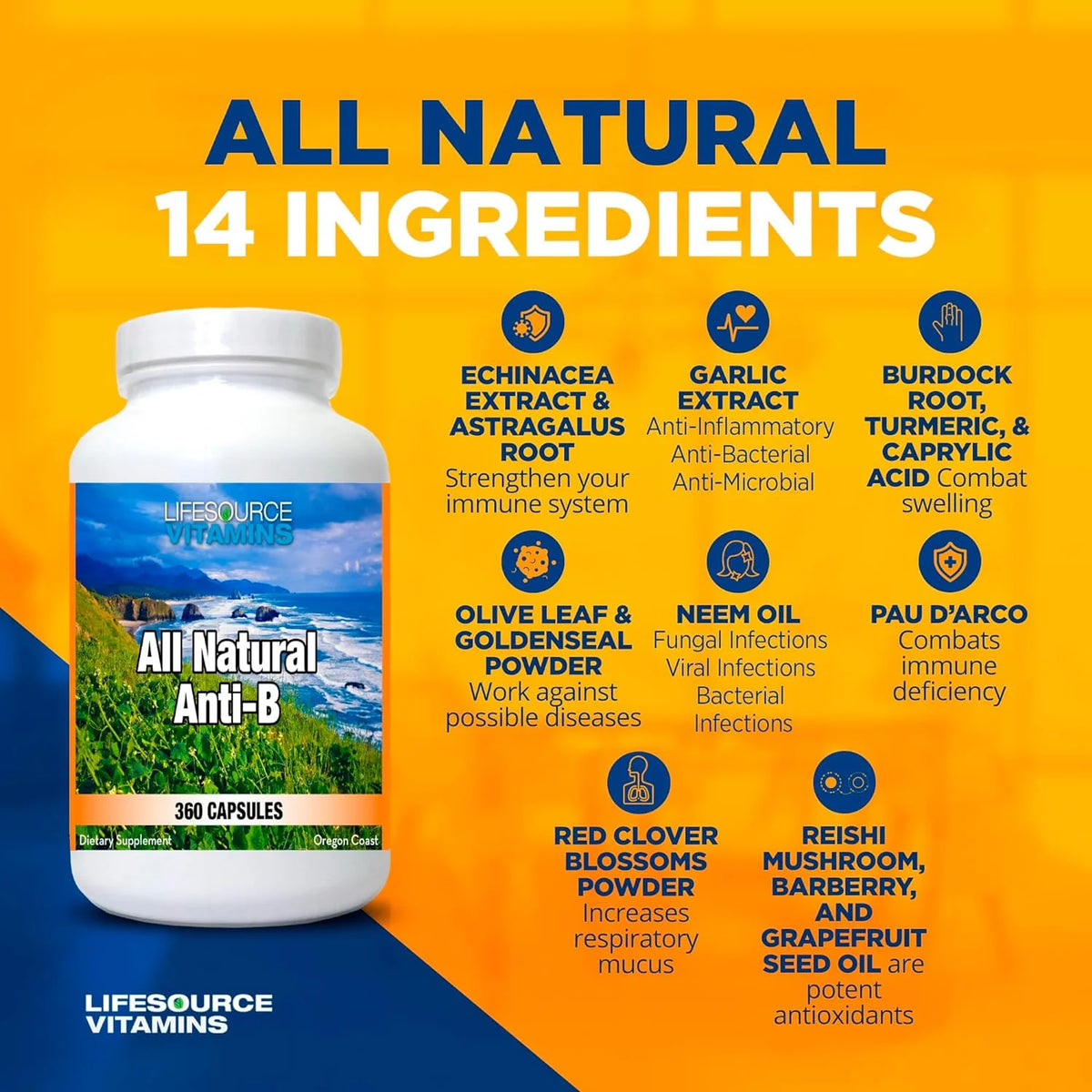All Natural Immune Support Capsules with Echinacea & Garlic Extract B909151