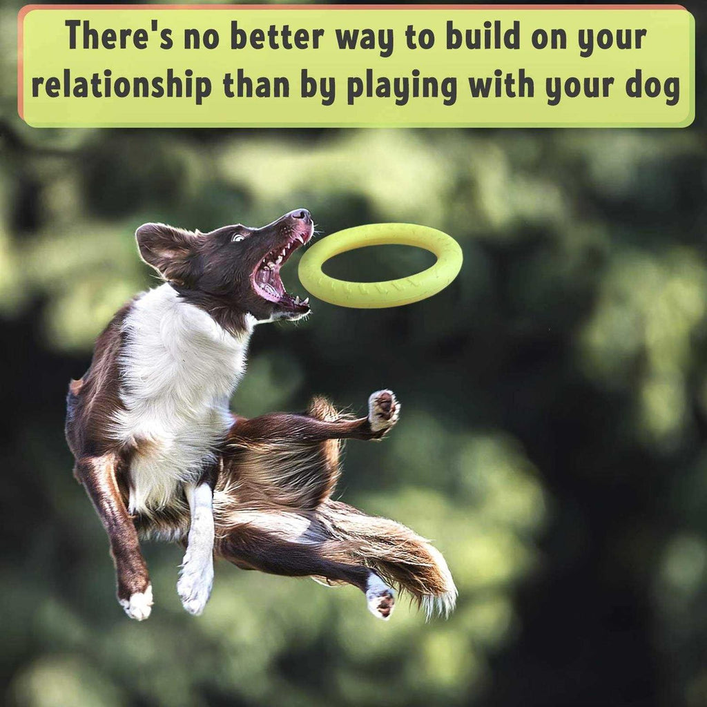 Dog Training Ring and Flying Disc Interactive Toy B992