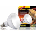 Mercury Vapor Lamp D690055