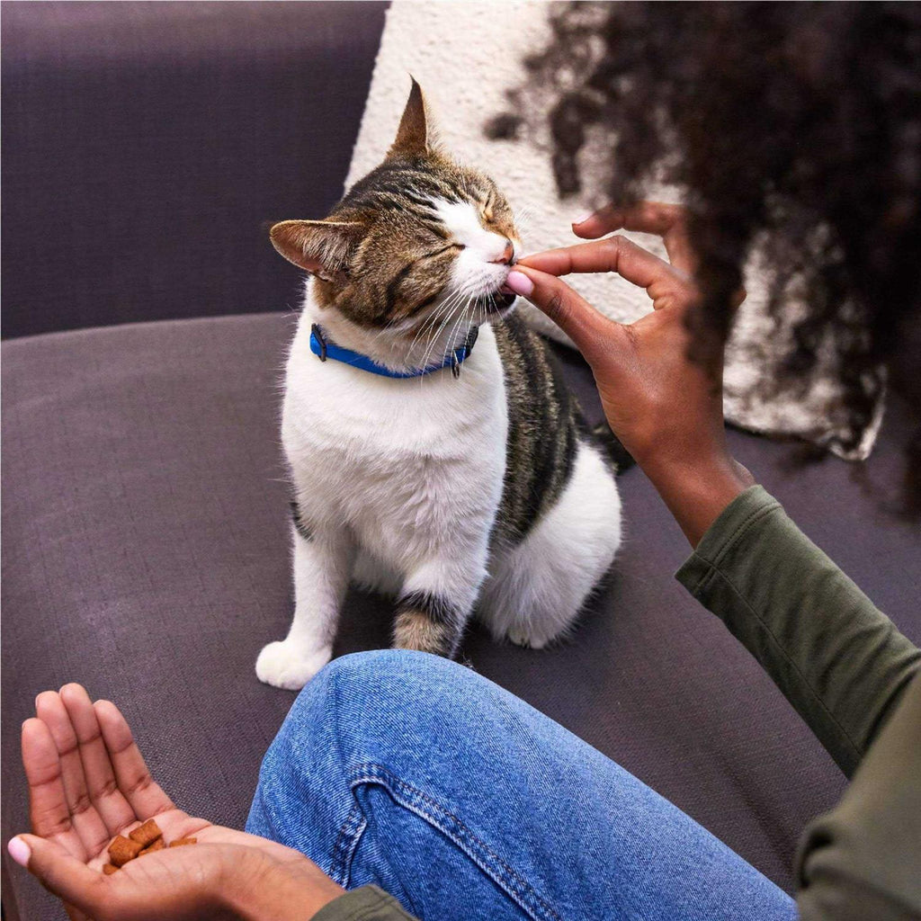 Crunchy Cat Treats I2102