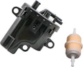 Fuel Pump with Fuel Filter S6029