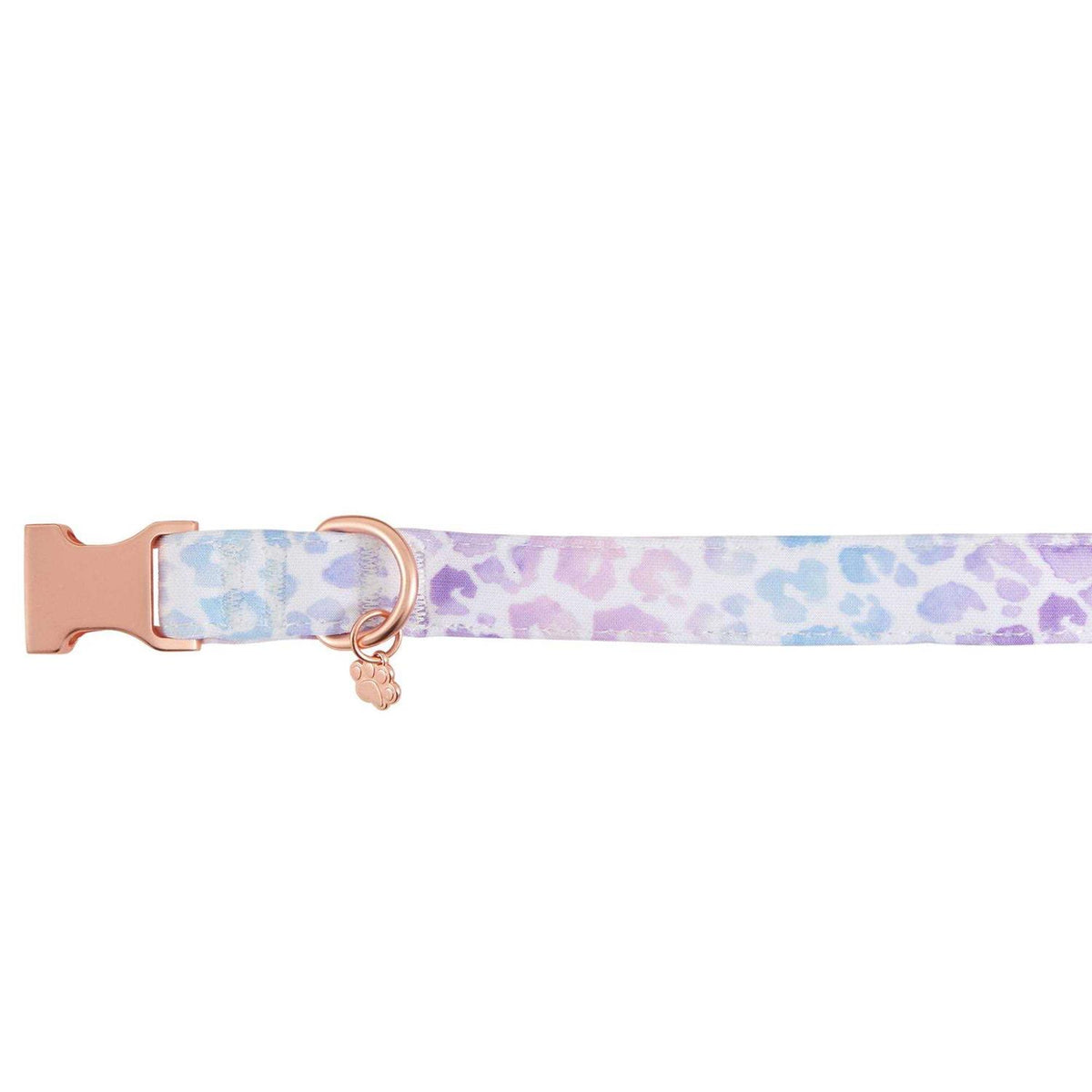 Purple Neoprene Dog Collar D662028