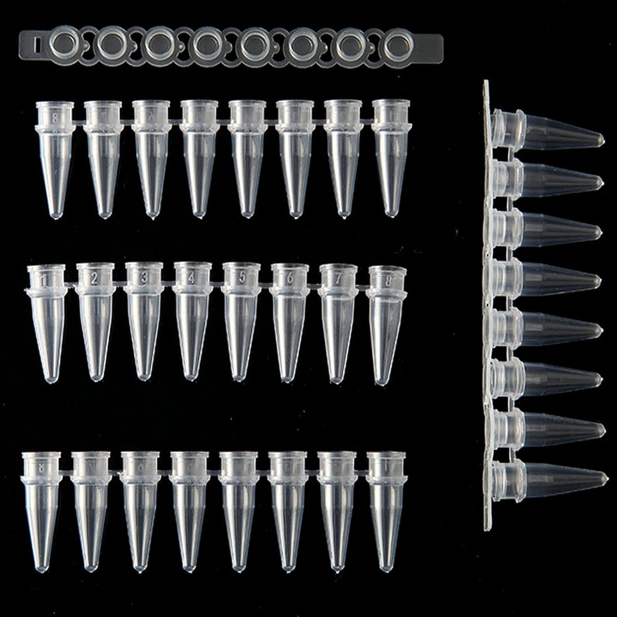 PCR 0.2ml Thin Wall Flat Cap Strip of 8 Tubes, Pack of 125 O64028