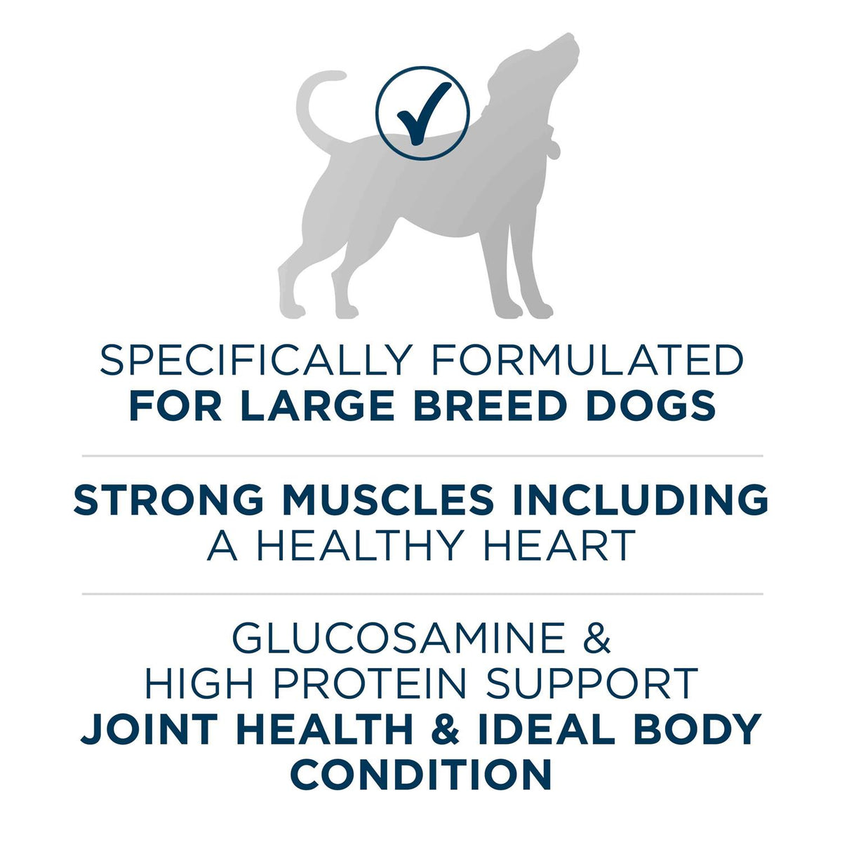 Large Breed Formula Adult Dry Dog Food I6128