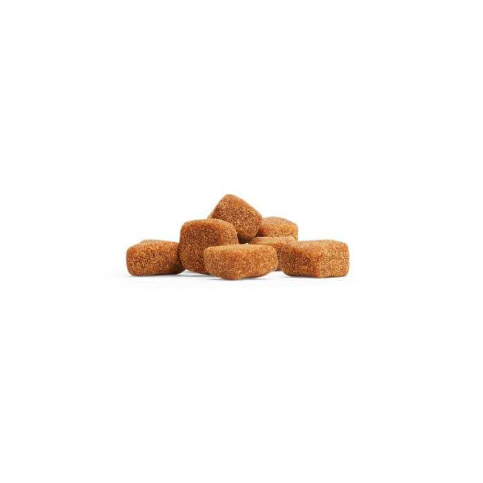 Cat Digestive Probiotic Soft Chews A15680
